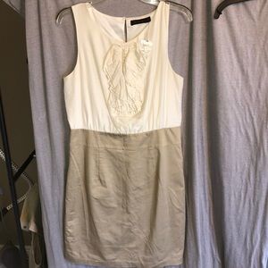 NWOT! Limited cream and tan dress. Size 10.